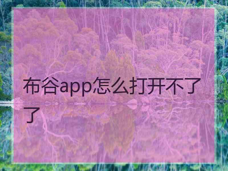 布谷app怎么打开不了了