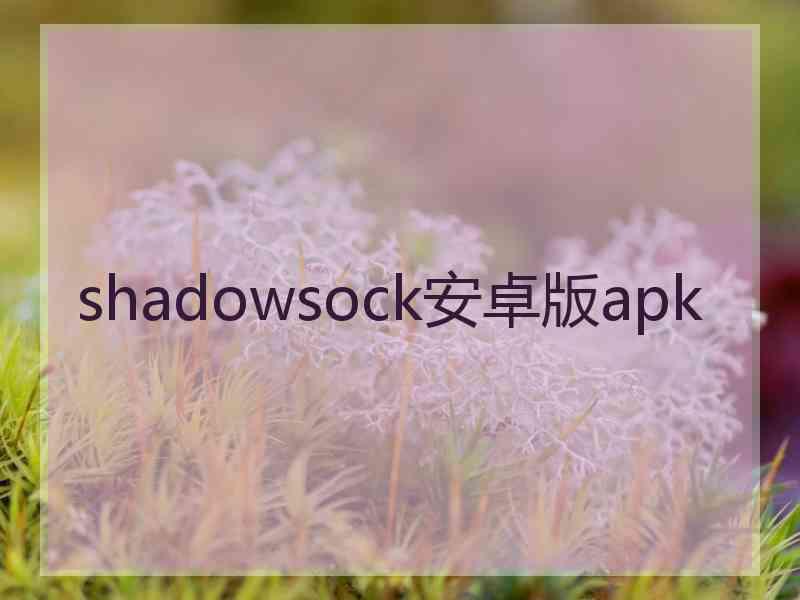 shadowsock安卓版apk