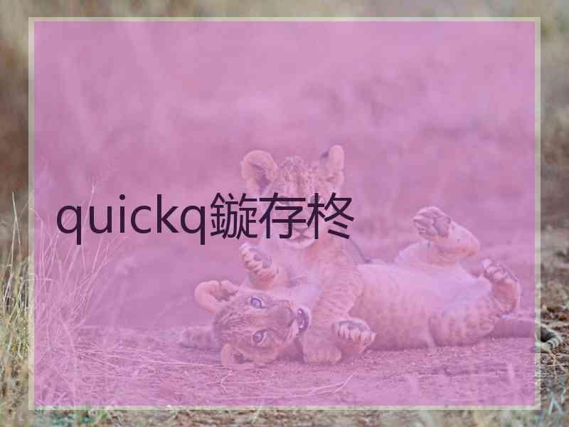 quickq鏇存柊