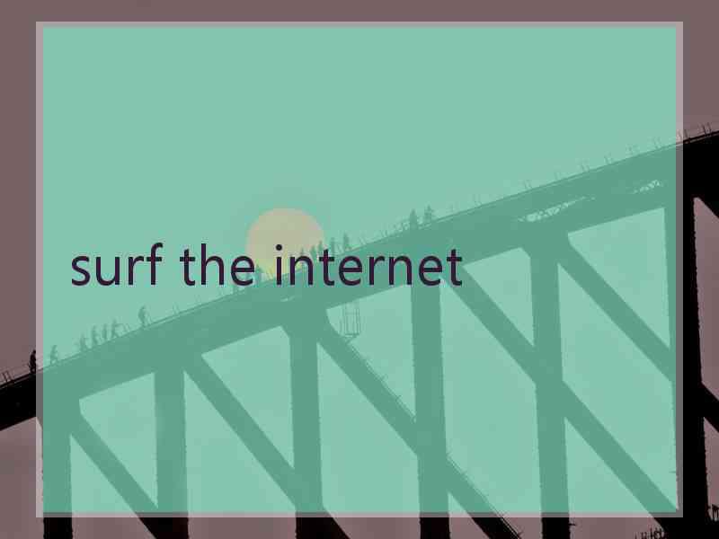 surf the internet