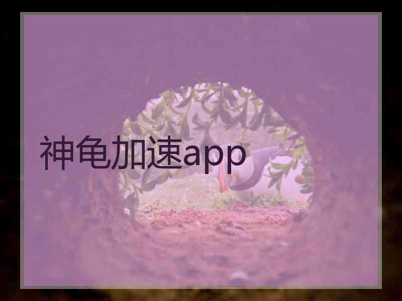 神龟加速app