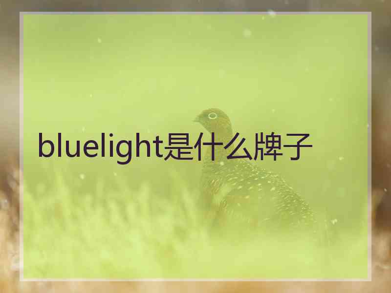 bluelight是什么牌子