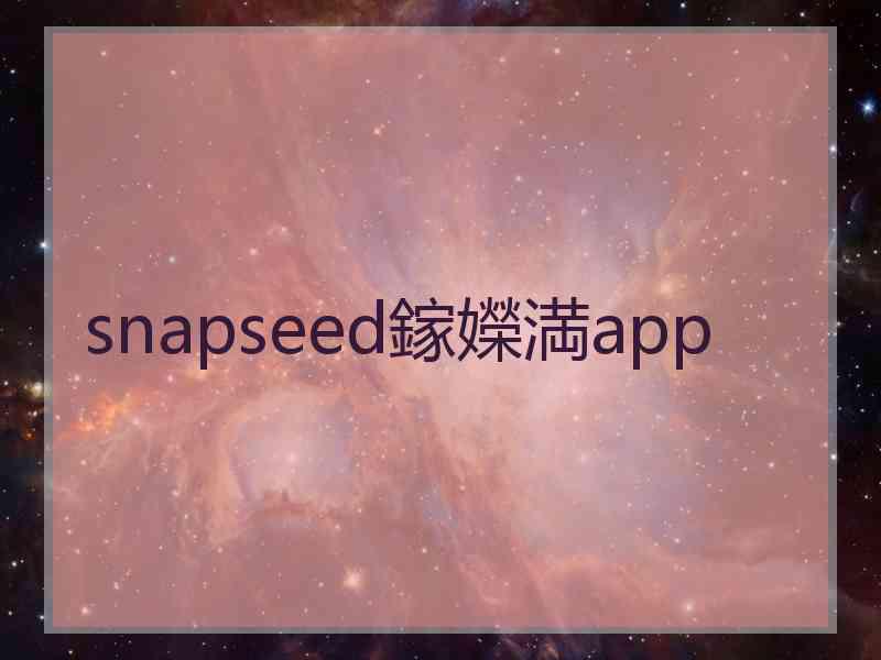 snapseed鎵嬫満app