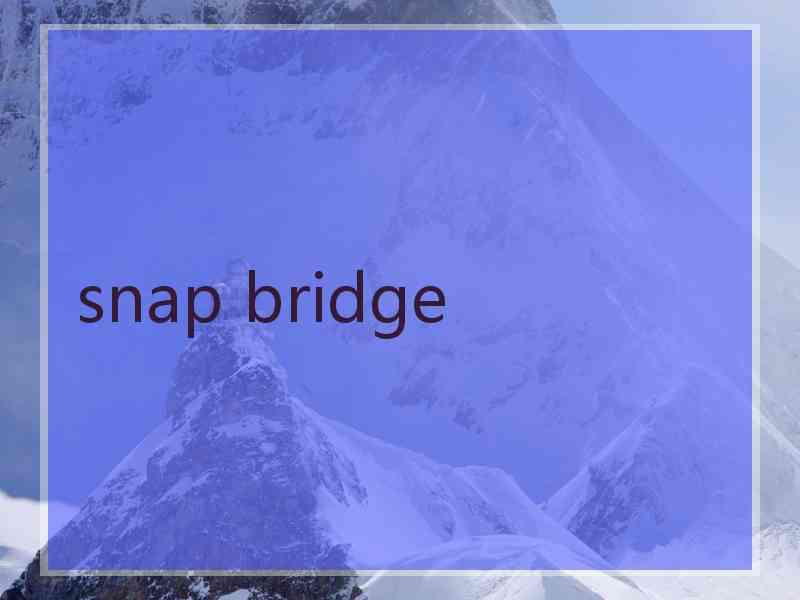 snap bridge