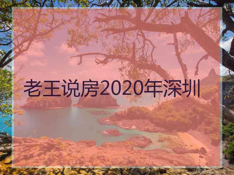 老王说房2020年深圳