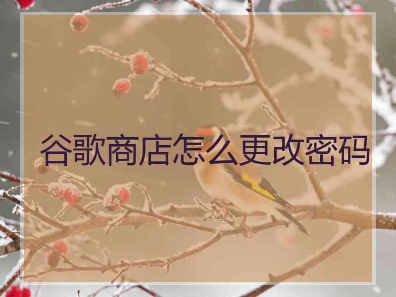 谷歌商店怎么更改密码