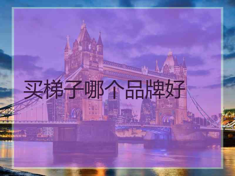 买梯子哪个品牌好
