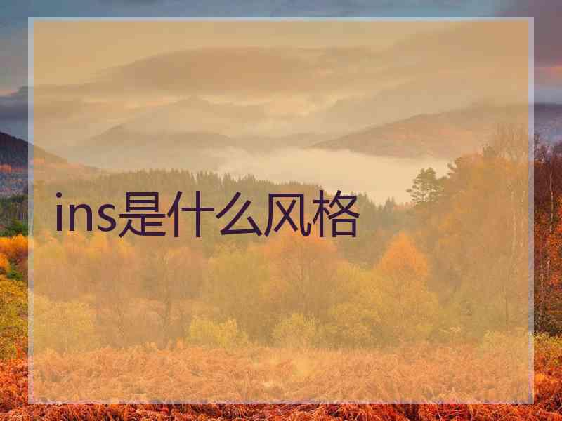 ins是什么风格