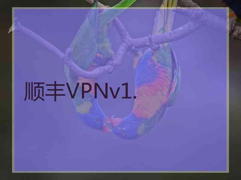 顺丰VPNv1.