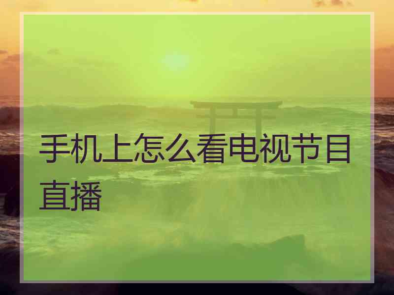 手机上怎么看电视节目直播
