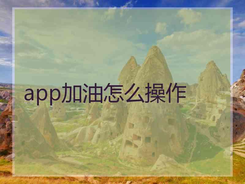 app加油怎么操作