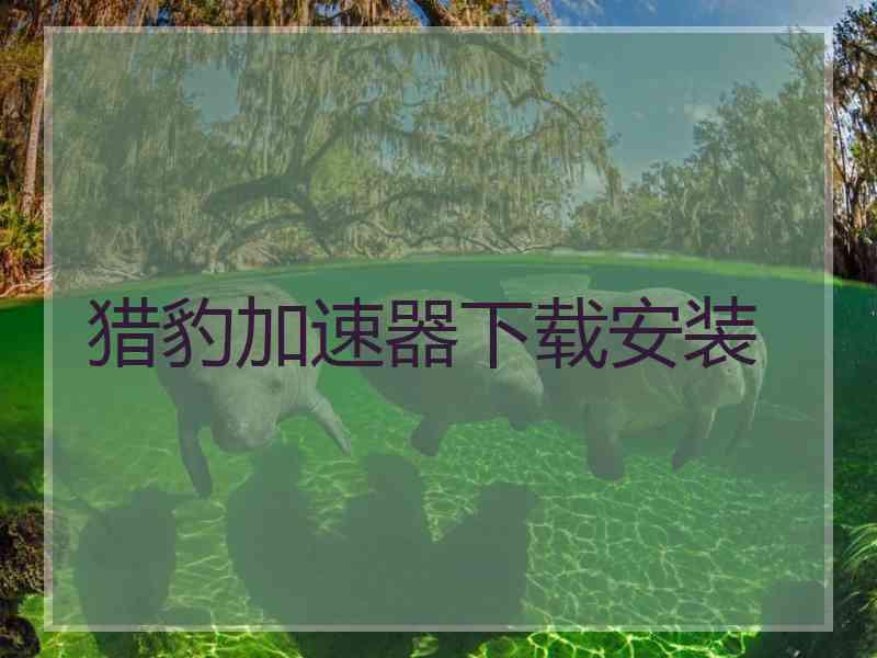 猎豹加速器下载安装
