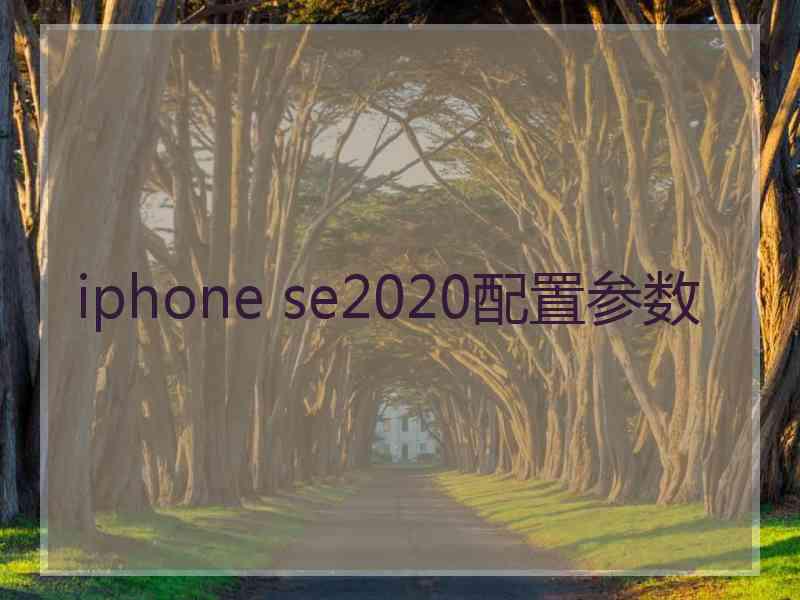 iphone se2020配置参数
