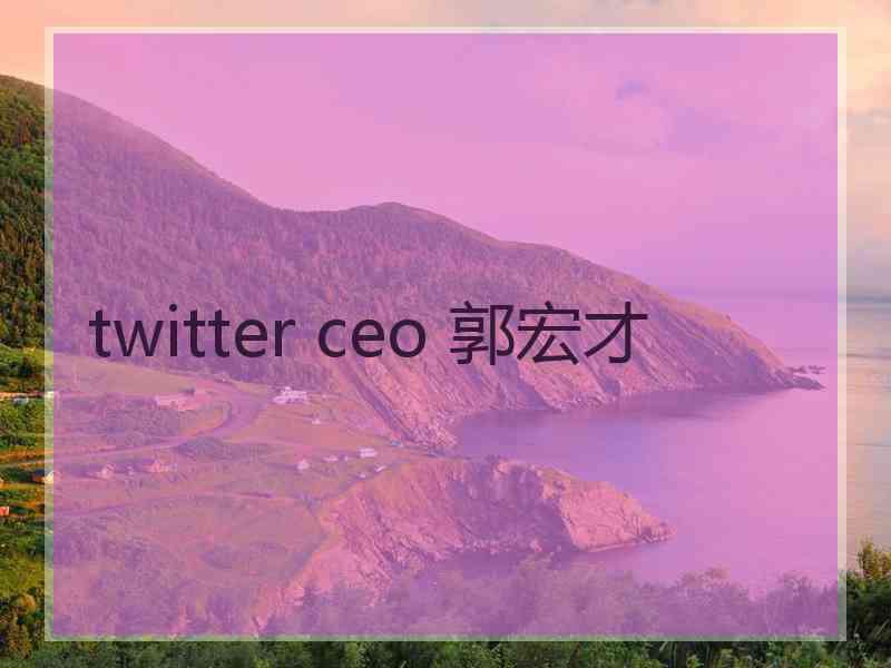 twitter ceo 郭宏才