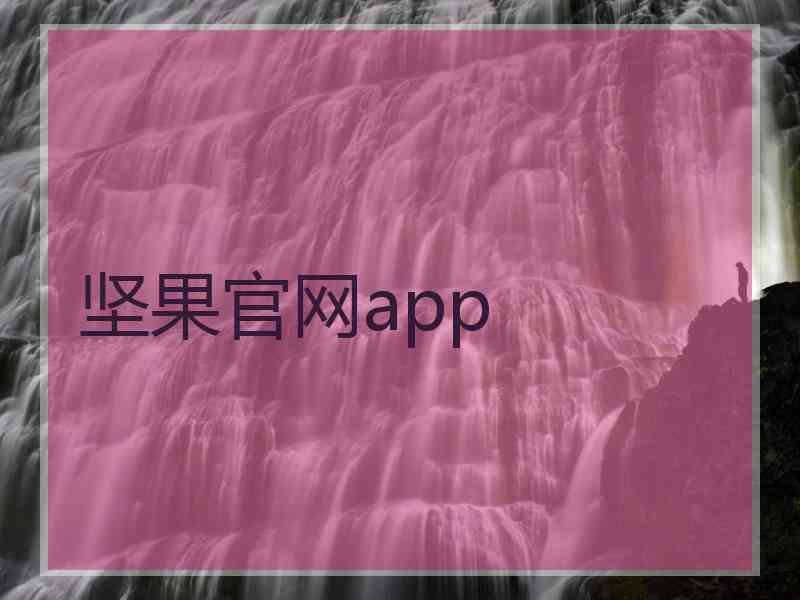 坚果官网app