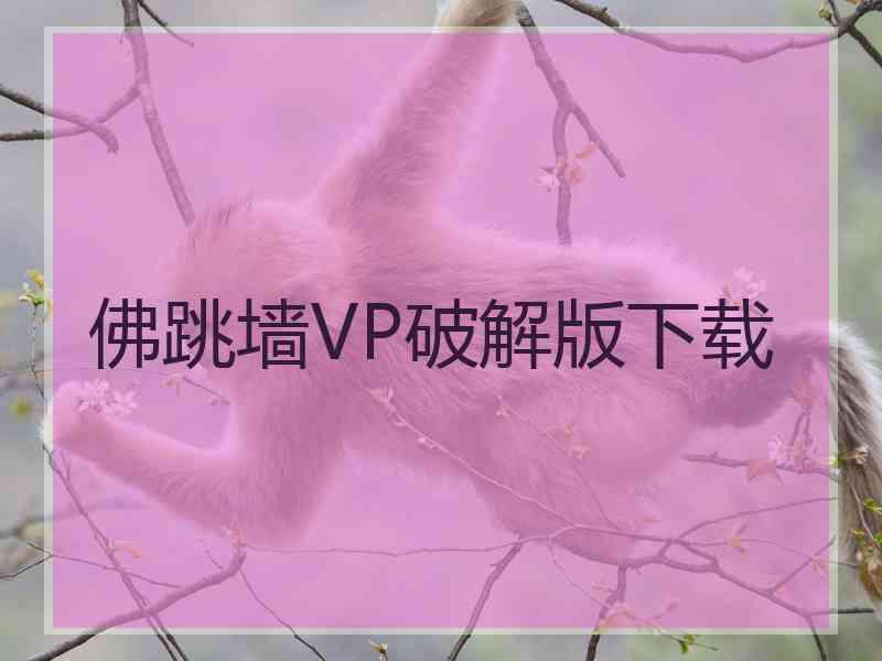 佛跳墙VP破解版下载