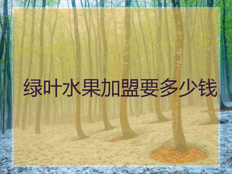绿叶水果加盟要多少钱