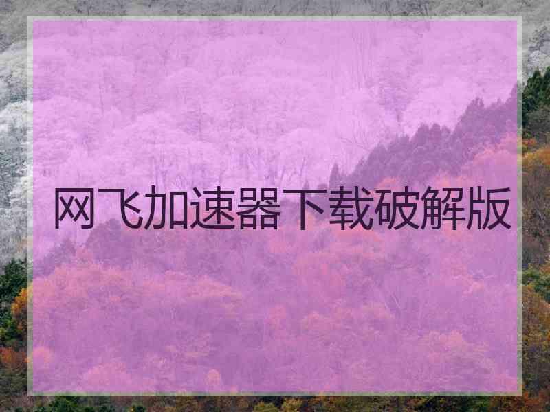 网飞加速器下载破解版