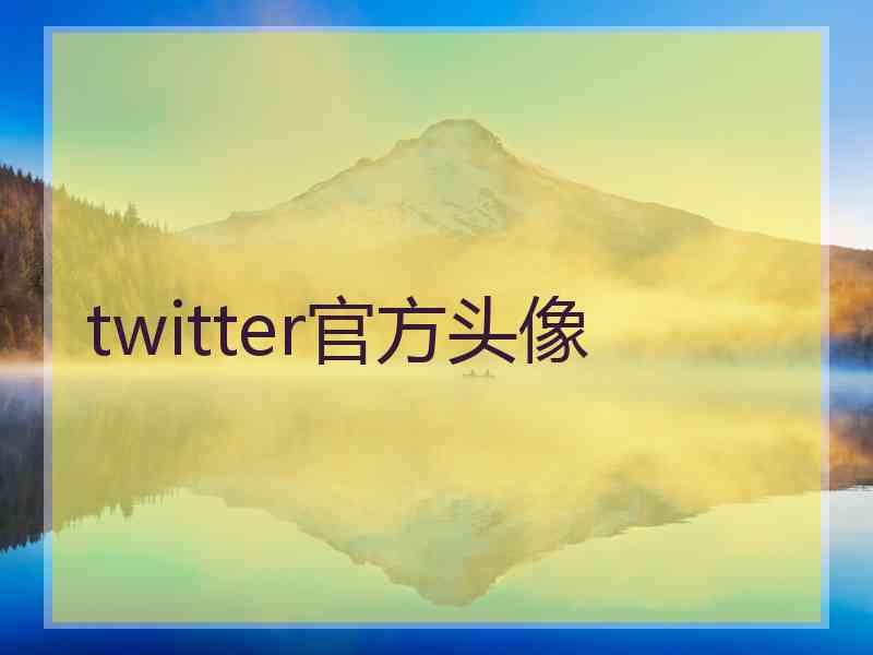 twitter官方头像