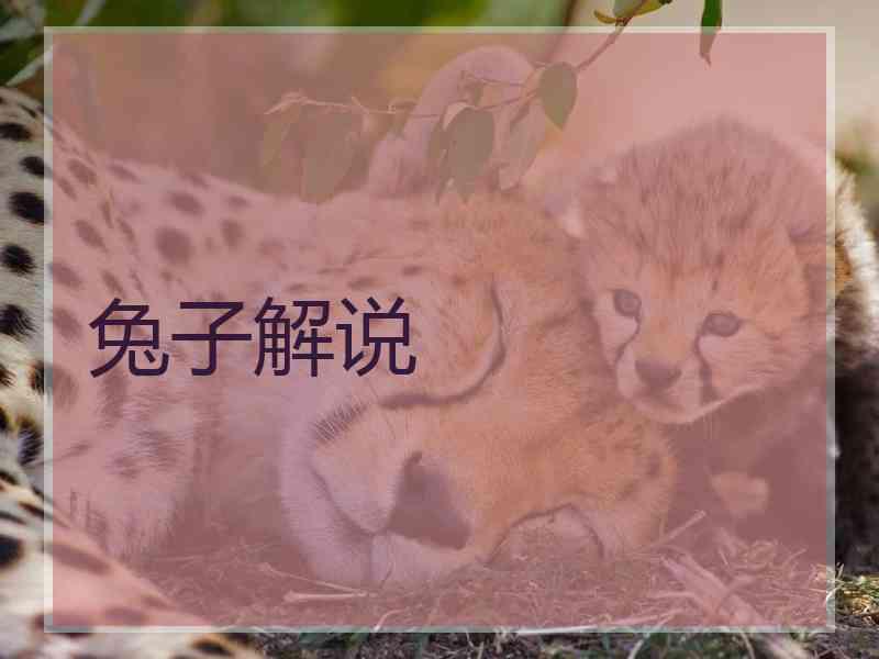 兔子解说