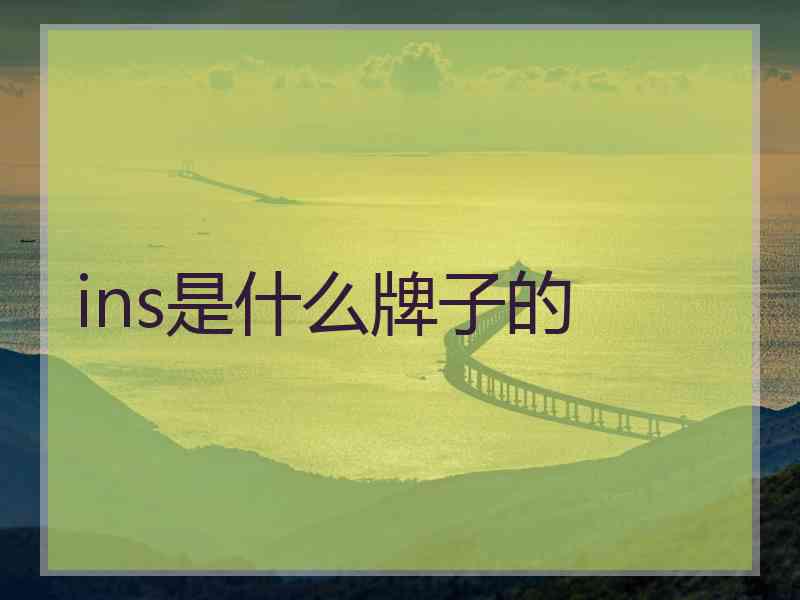 ins是什么牌子的