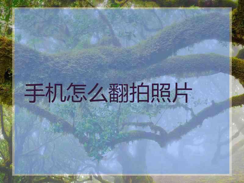 手机怎么翻拍照片