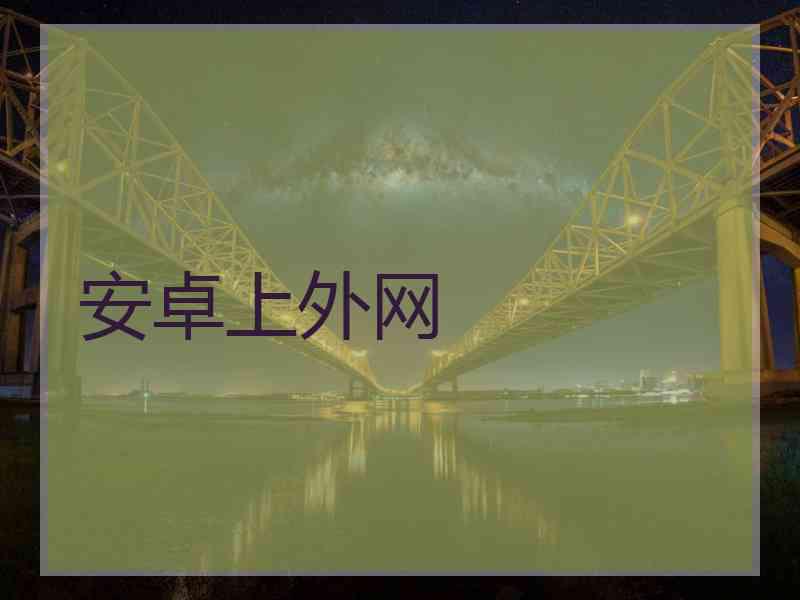 安卓上外网