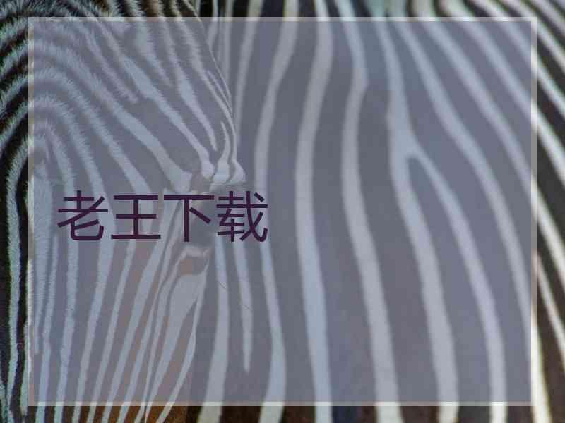 老王下载