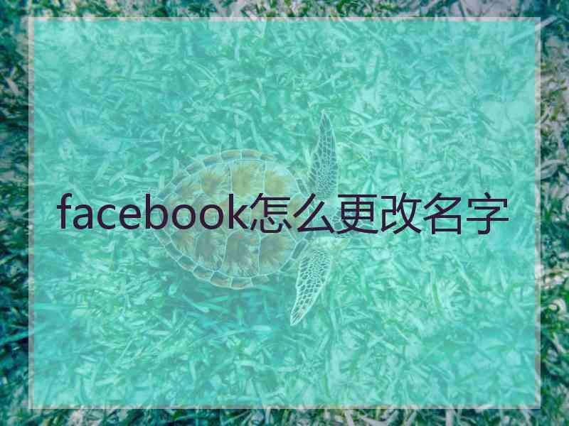 facebook怎么更改名字
