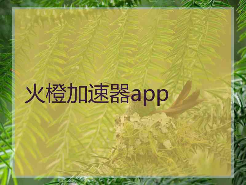 火橙加速器app