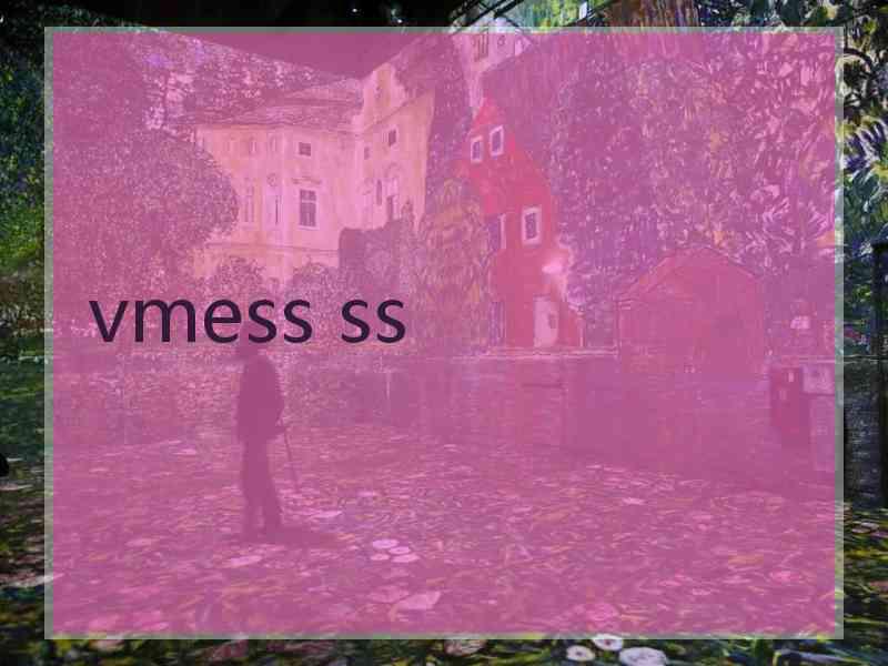 vmess ss