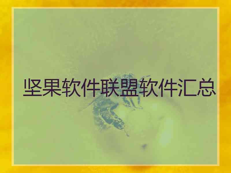 坚果软件联盟软件汇总