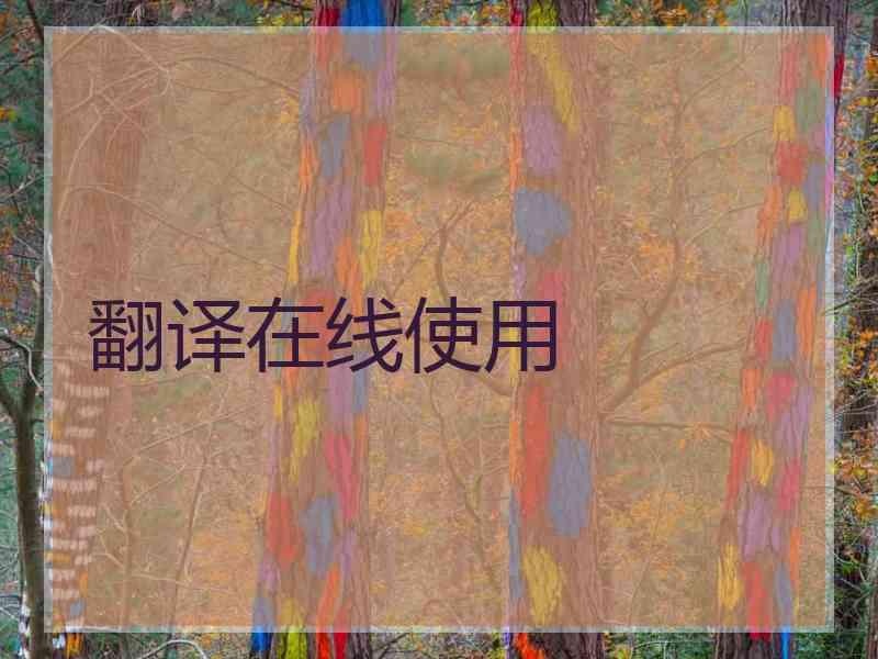 翻译在线使用