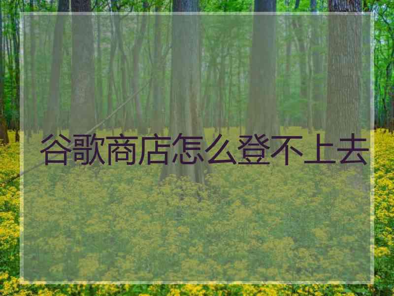 谷歌商店怎么登不上去