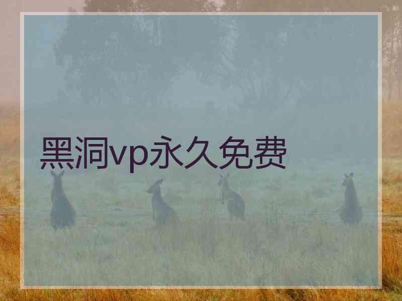 黑洞vp永久免费