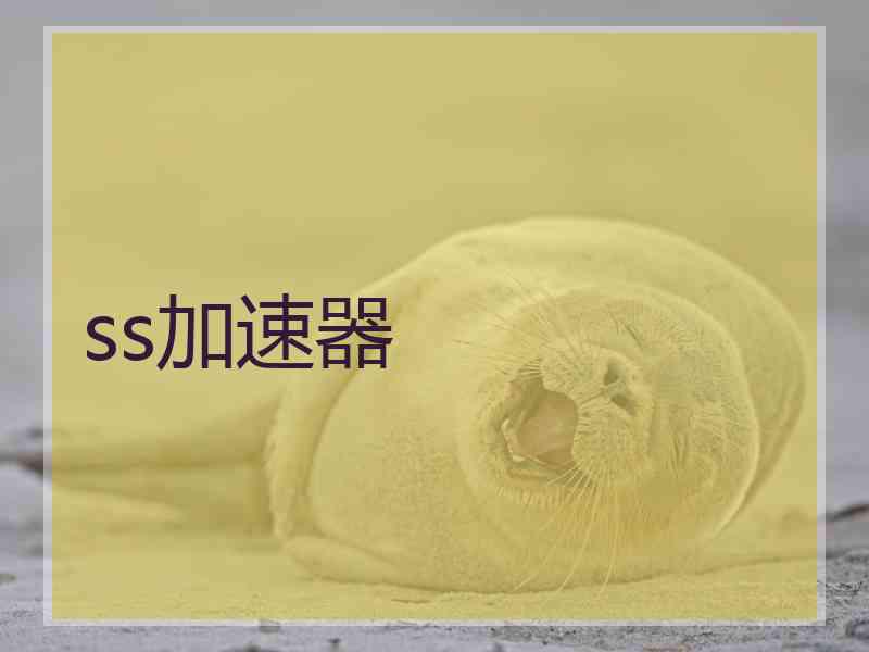 ss加速器