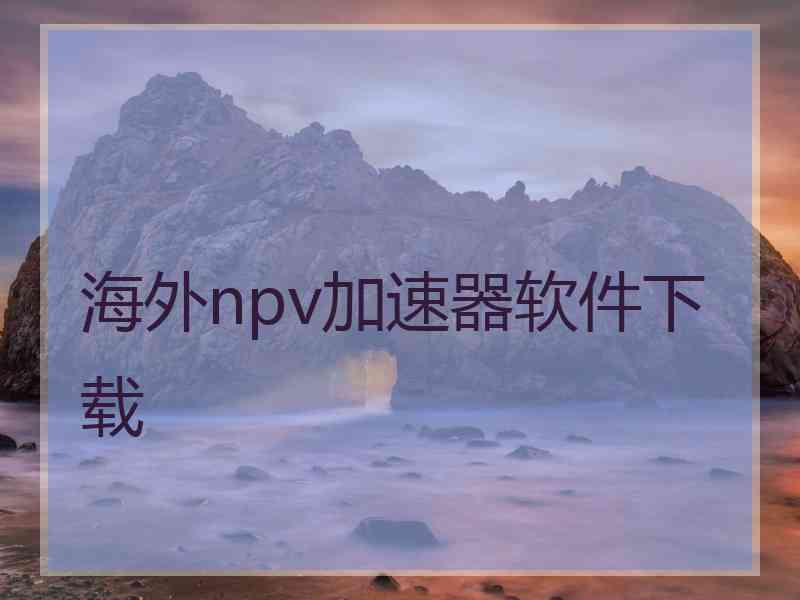 海外npv加速器软件下载