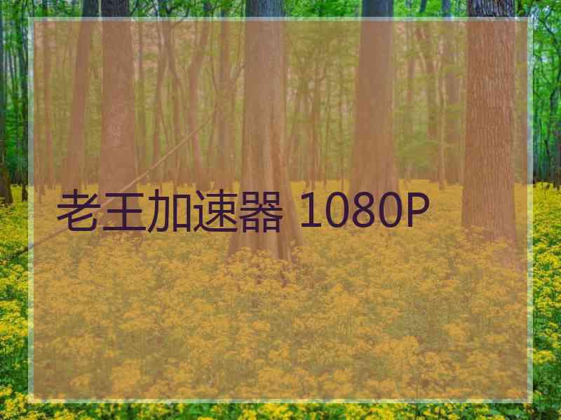 老王加速器 1080P