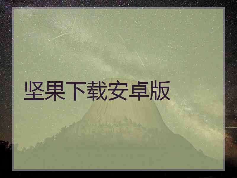 坚果下载安卓版