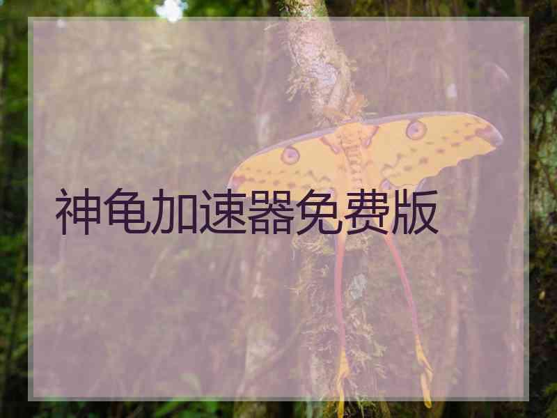 神龟加速器免费版