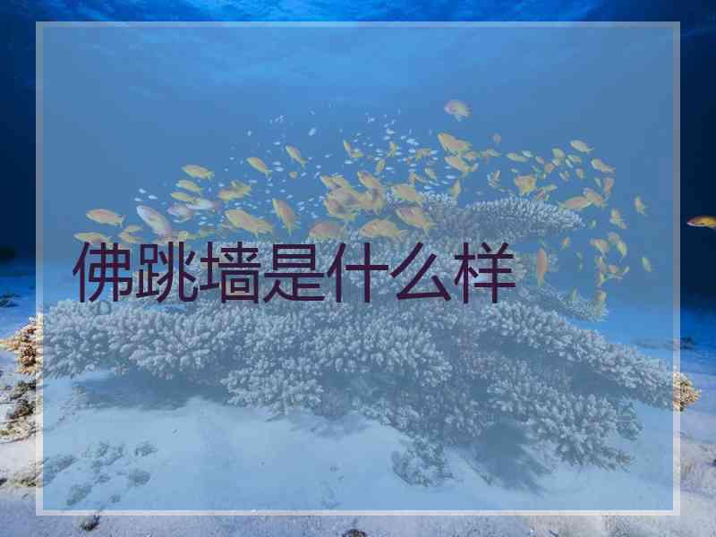 佛跳墙是什么样