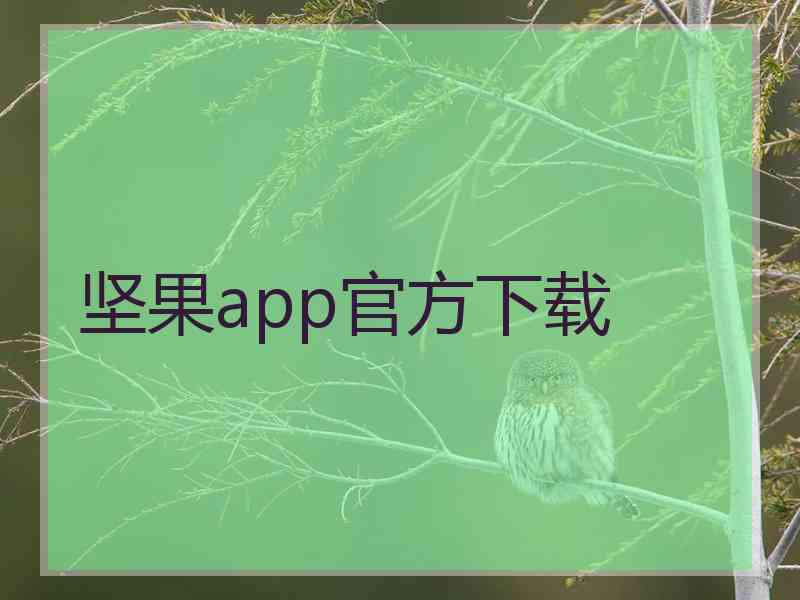 坚果app官方下载