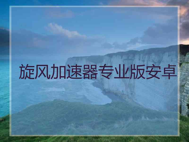 旋风加速器专业版安卓