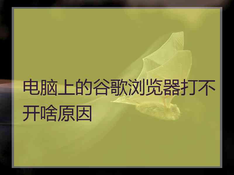 电脑上的谷歌浏览器打不开啥原因