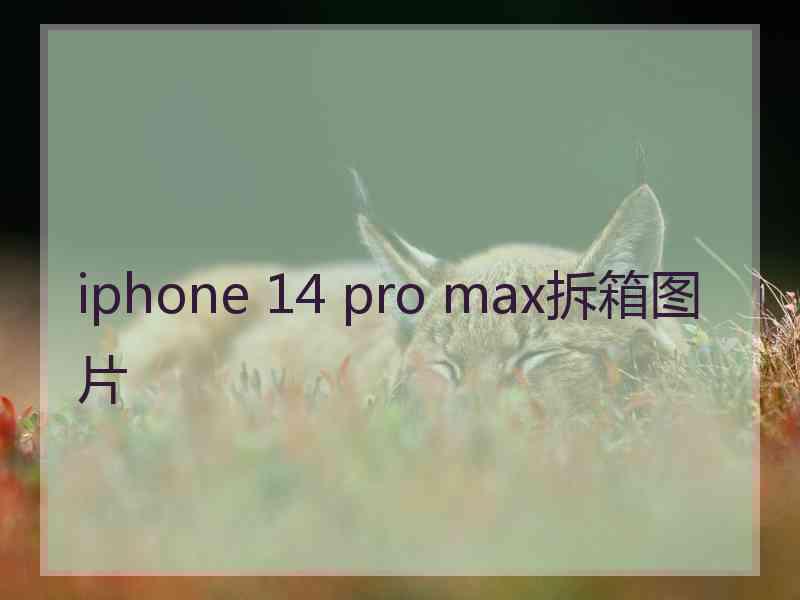 iphone 14 pro max拆箱图片