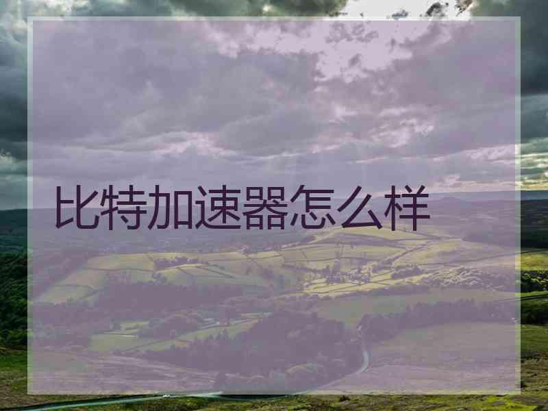 比特加速器怎么样