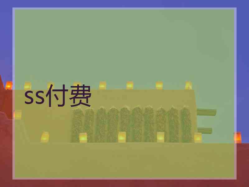 ss付费