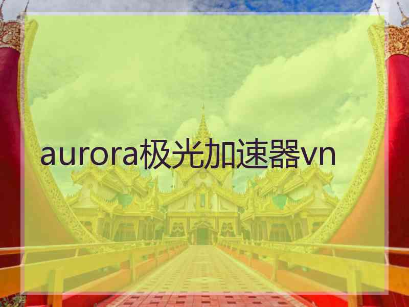 aurora极光加速器vn