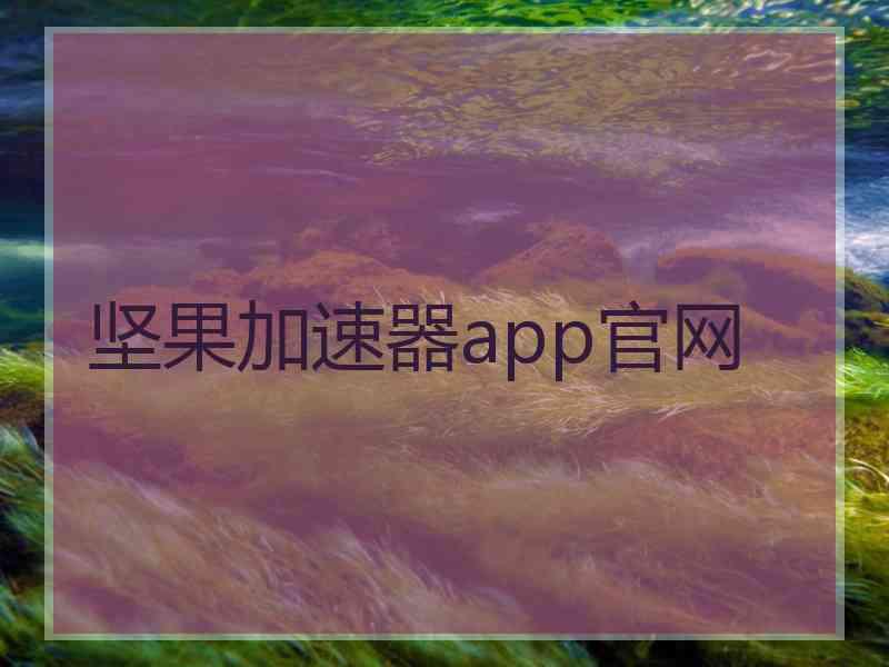 坚果加速器app官网