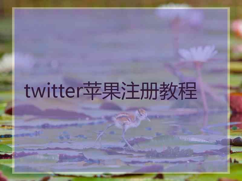 twitter苹果注册教程